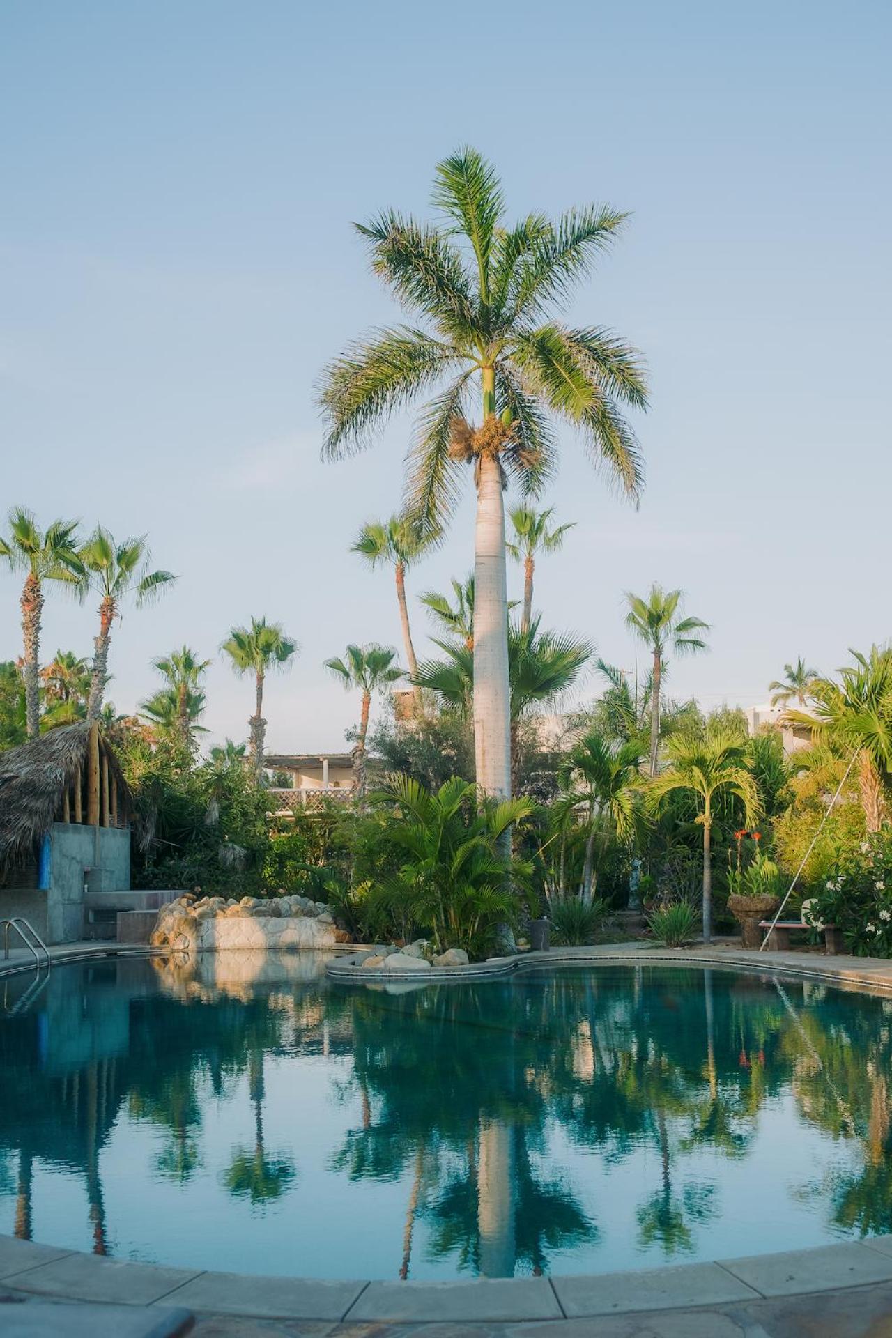 La Poza Boutique Hotel And Spa - Adults 15 Plus Тодос-Сантос Экстерьер фото